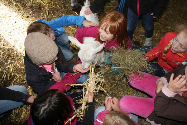 Kinder streicheln und füttern eine Ziege