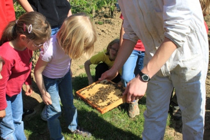 Der Besuch auf dem Lernort Bauernhof
