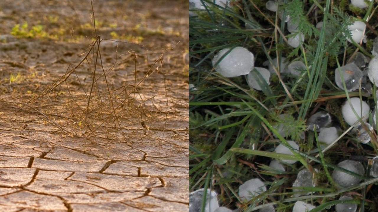 Dürre und Hagel