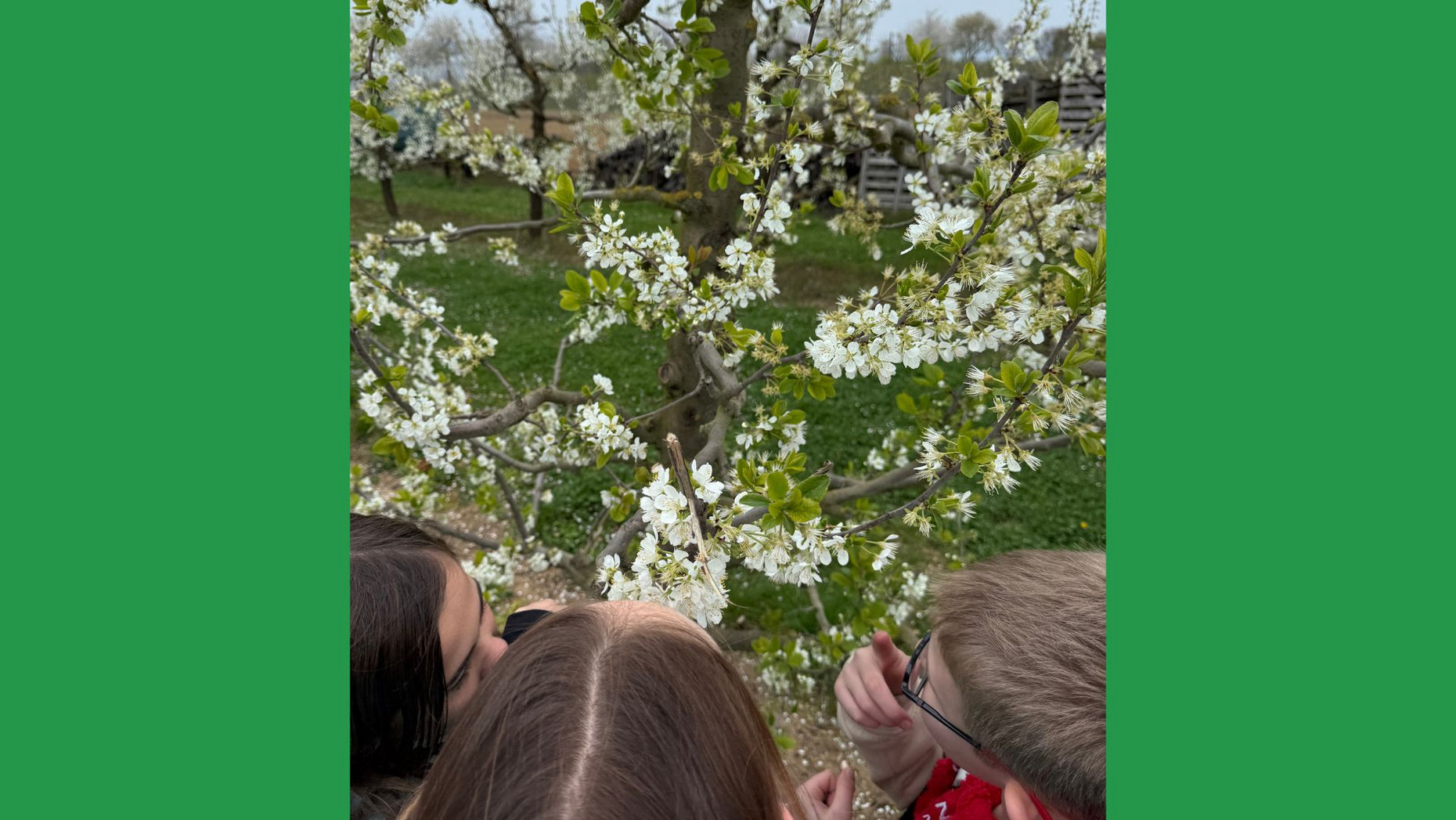 Kinder vor Apfelbaum