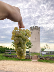 LoB-Weiterbildungen für landwirtschaftliche Betriebe