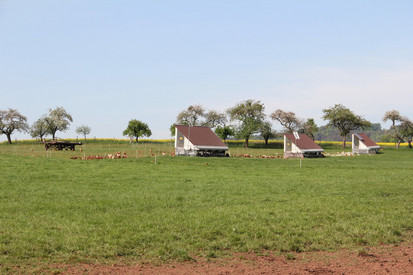 Demeterhof Breit