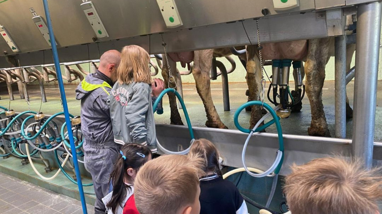 Schüler im Melkstand