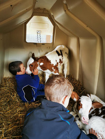 Schulprojekte auf dem LoB