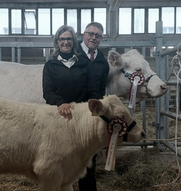 Eifel-Charolais Beckertz