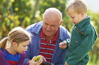 Kinder lernen Obst und Gemüse kennen