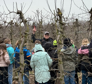 Stephan Happel erklärt Schüler*innen den Baumschnitt im Februar am Baum
