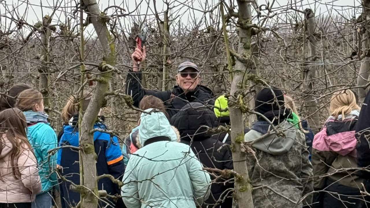 Stephan Happel erklärt Schüler*innen den Baumschnitt im Februar am Baum