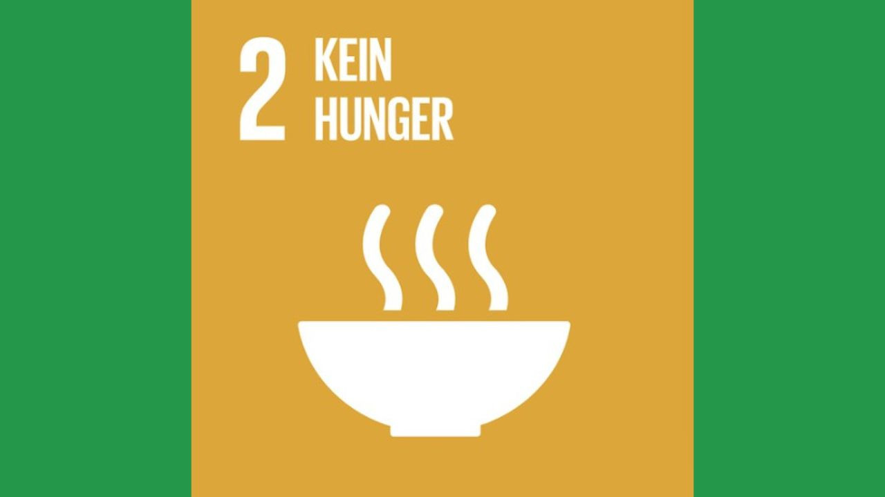 SDG 2
