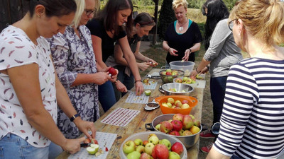 Die Lehrkräfte bereiten Äpfel vor zum Pressen, Foto: Daniel Christoph Kreußer