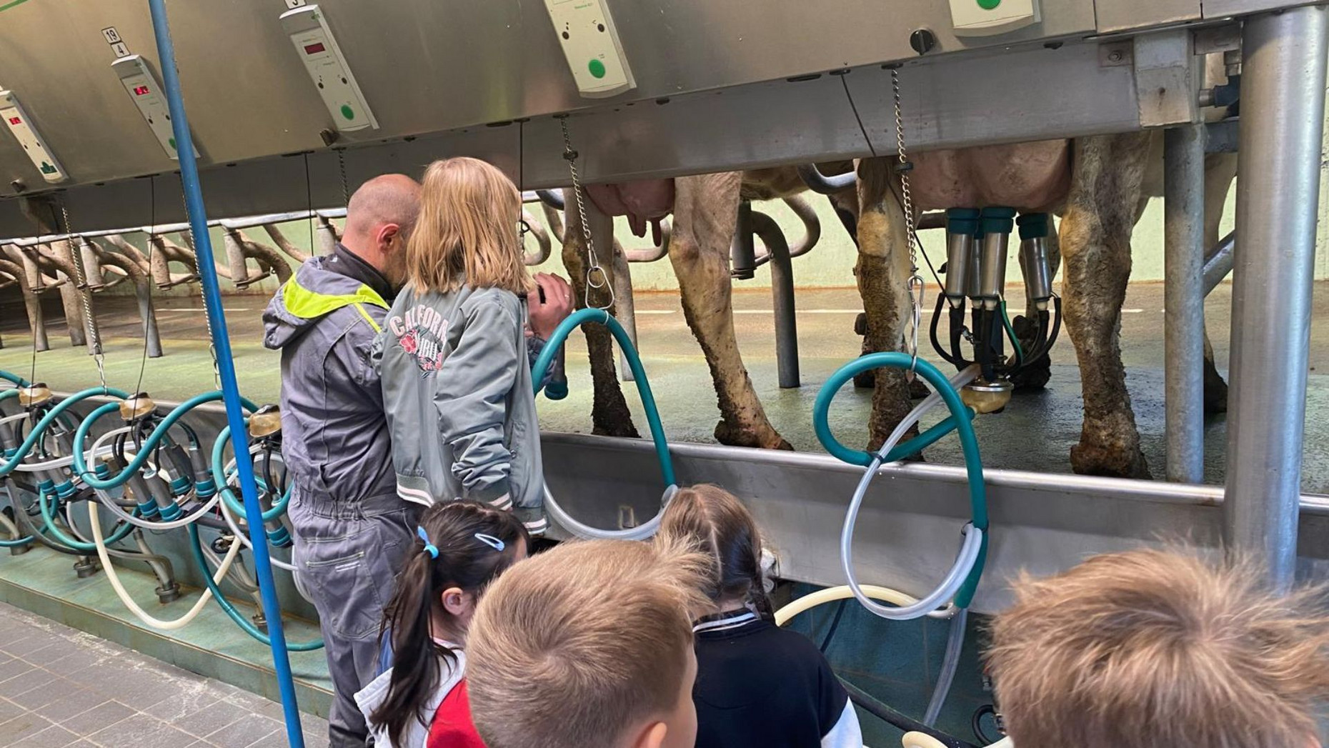 Kinder im Melkstand