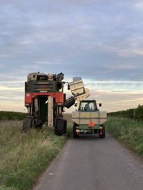 LoB-Betrieb des Monats